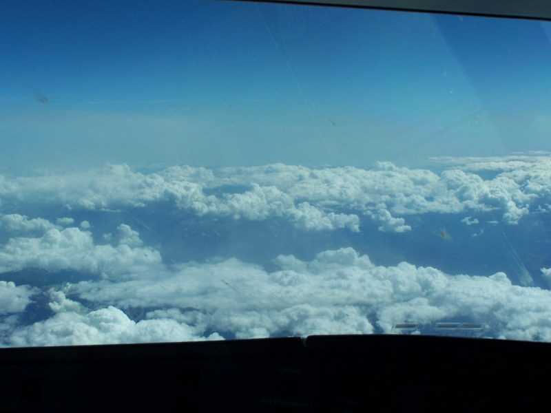 gwi-16.jpg