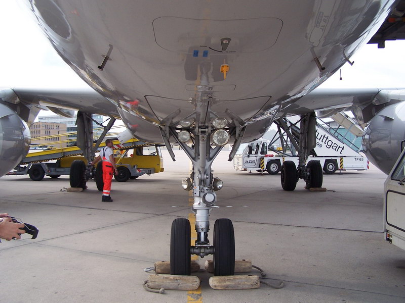gwi-65.jpg