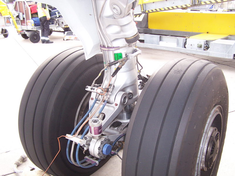 gwi-66.jpg