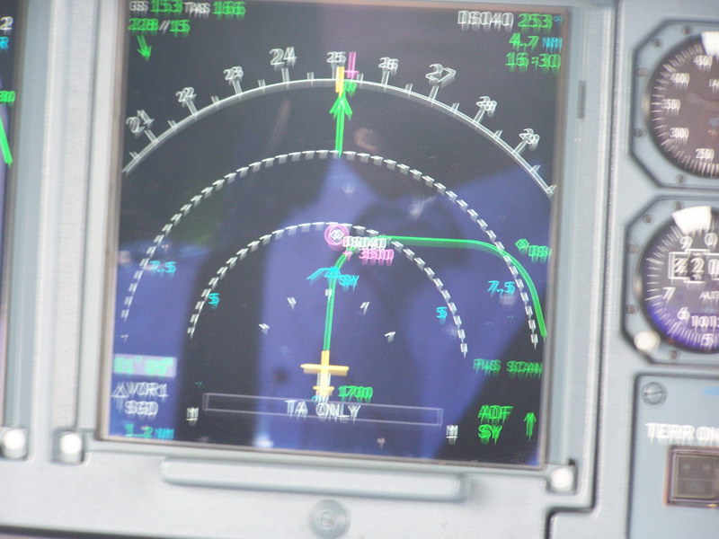 gwi-80.jpg