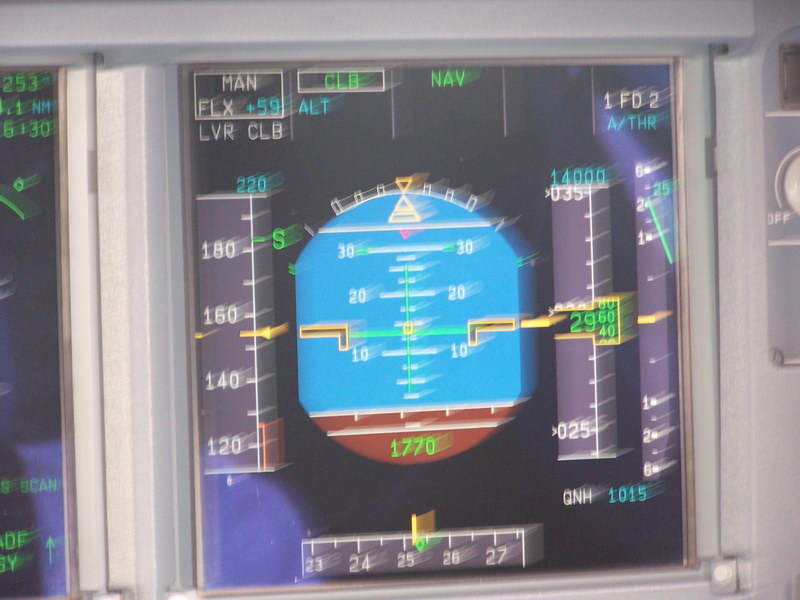 gwi-81.jpg